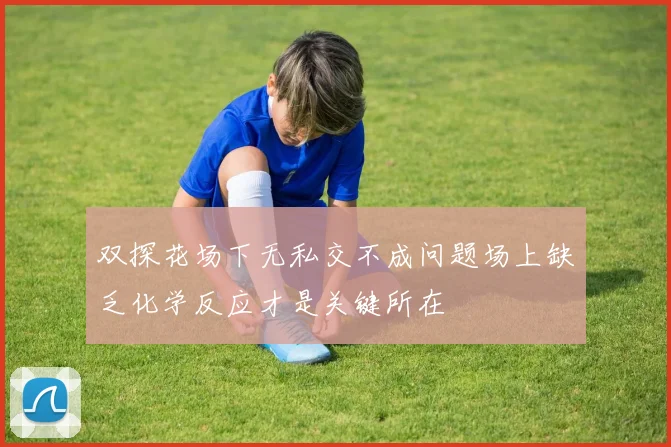 双探花场下无私交不成问题场上缺乏化学反应才是关键所在